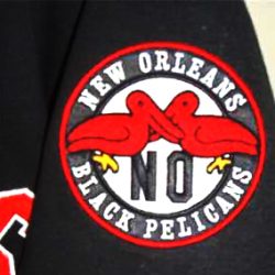 New-Orleans-Black-Pelicans-Logo-Digitizing-Sewout