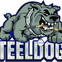 STEELDOG